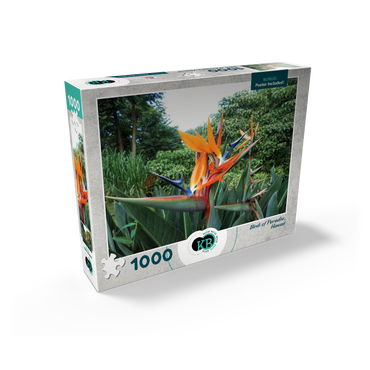 Hawaii, The Big Island: Birds of Paradise Flower 1000 Jigsaw Puzzle box view2