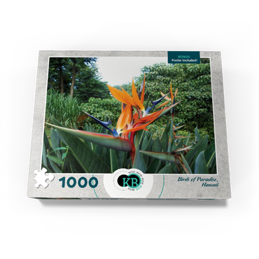 Hawaii, The Big Island: Birds of Paradise Flower 1000 Jigsaw Puzzle box view3
