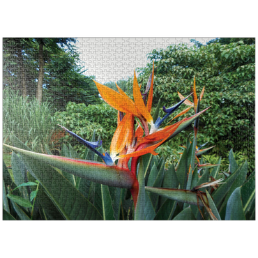 puzzleplate Hawaii, The Big Island: Birds of Paradise Flower 1000 Jigsaw Puzzle