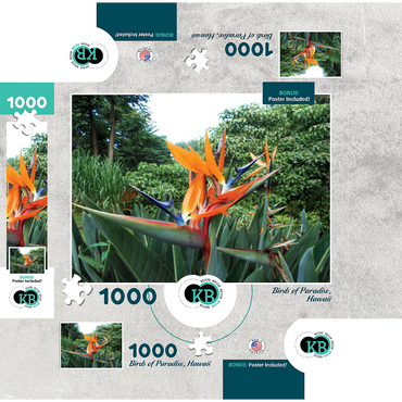 Hawaii, The Big Island: Birds of Paradise Flower 1000 Jigsaw Puzzle box 3D Modell