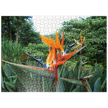 puzzleplate Hawaii, The Big Island: Birds of Paradise Flower 500 Jigsaw Puzzle