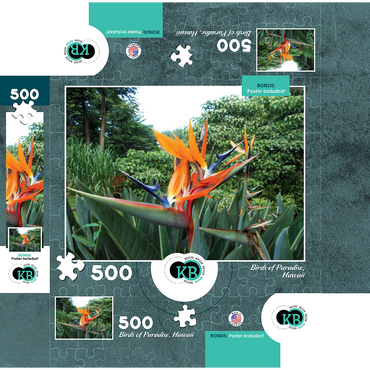 Hawaii, The Big Island: Birds of Paradise Flower 500 Jigsaw Puzzle box 3D Modell