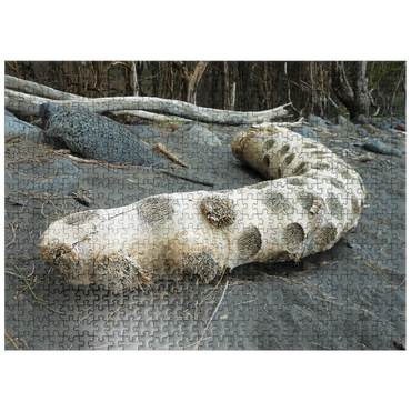 puzzleplate Hawaii, The Big Island: Driftwood, Black Sand Beach 500 Jigsaw Puzzle