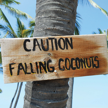 Hawaii, The Big Island: Beach Signage, Falling Coconuts 1000 Jigsaw Puzzle 3D Modell