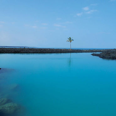 Hawaii, The Big Island: Aqua Waters Shallows 1000 Jigsaw Puzzle 3D Modell