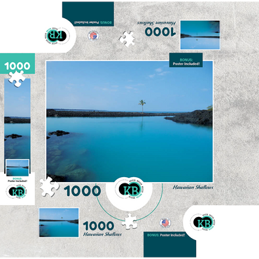 Hawaii, The Big Island: Aqua Waters Shallows 1000 Jigsaw Puzzle box 3D Modell