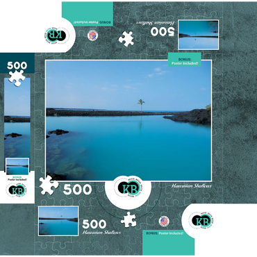 Hawaii, The Big Island: Aqua Waters Shallows 500 Jigsaw Puzzle box 3D Modell