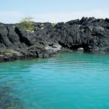 Hawaii, The Big Island: Lava Rocks Shoreline, no.1 1000 Jigsaw Puzzle 3D Modell