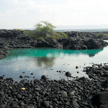 Hawaii, The Big Island: Lava Rocks Shoreline, no.2 1000 Jigsaw Puzzle 3D Modell
