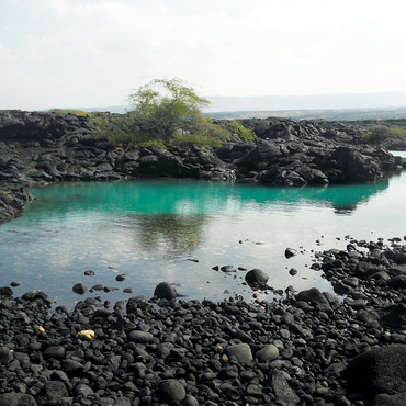 Hawaii, The Big Island: Lava Rocks Shoreline, no.2 500 Jigsaw Puzzle 3D Modell
