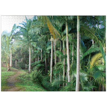 puzzleplate Hawaii, The Big Island: Palm Alley 1000 Jigsaw Puzzle