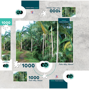 Hawaii, The Big Island: Palm Alley 1000 Jigsaw Puzzle box 3D Modell