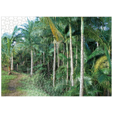 puzzleplate Hawaii, The Big Island: Palm Alley 500 Jigsaw Puzzle