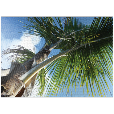 puzzleplate Hawaii, The Big Island: Palm Branches 1000 Jigsaw Puzzle