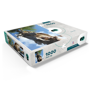 Hawaii, The Big Island: Palm Branches in the Sky 1000 Jigsaw Puzzle box view1