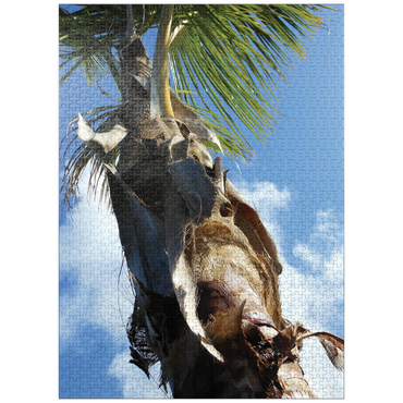 puzzleplate Hawaii, The Big Island: Palm Branches in the Sky 1000 Jigsaw Puzzle