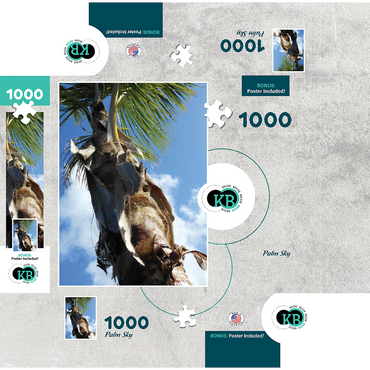 Hawaii, The Big Island: Palm Branches in the Sky 1000 Jigsaw Puzzle box 3D Modell