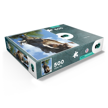 Hawaii, The Big Island: Palm Branches in the Sky 500 Jigsaw Puzzle box view1