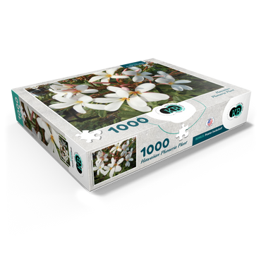 Hawaii, The Big Island: Plumeria Flowers 1000 Jigsaw Puzzle box view1
