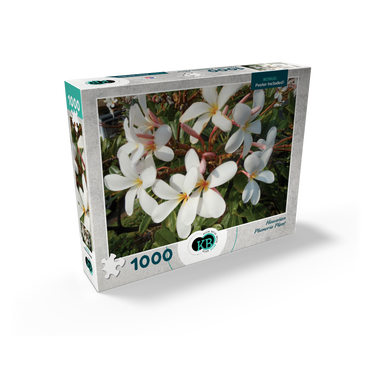 Hawaii, The Big Island: Plumeria Flowers 1000 Jigsaw Puzzle box view2