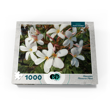 Hawaii, The Big Island: Plumeria Flowers 1000 Jigsaw Puzzle box view3