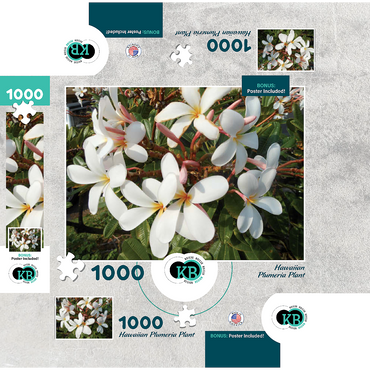 Hawaii, The Big Island: Plumeria Flowers 1000 Jigsaw Puzzle box 3D Modell