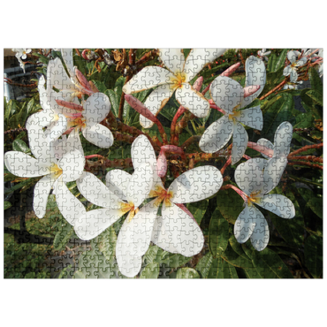 puzzleplate Hawaii, The Big Island: Plumeria Flowers 500 Jigsaw Puzzle