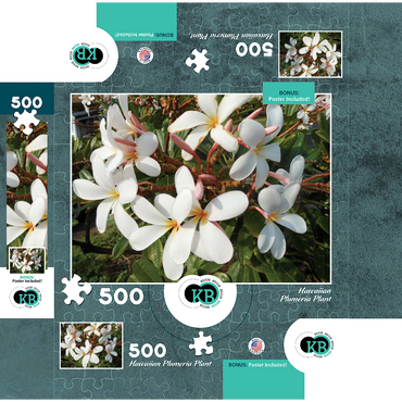 Hawaii, The Big Island: Plumeria Flowers 500 Jigsaw Puzzle box 3D Modell