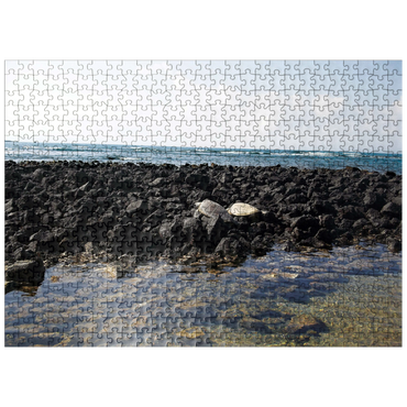 puzzleplate Hawaii, The Big Island: Sea Turtle Pair 500 Jigsaw Puzzle