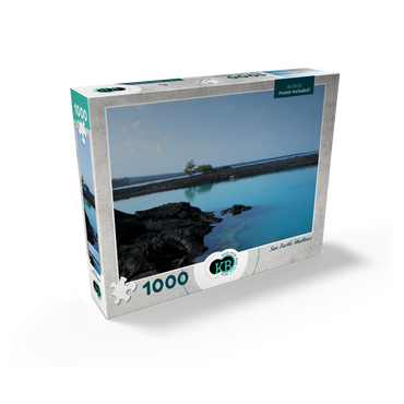 Hawaii, The Big Island: Sea Turtle Shallows, no.2 1000 Jigsaw Puzzle box view2
