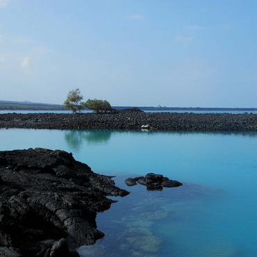 Hawaii, The Big Island: Sea Turtle Shallows, no.2 1000 Jigsaw Puzzle 3D Modell