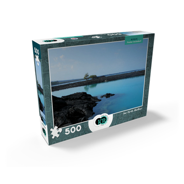 Hawaii, The Big Island: Sea Turtle Shallows, no.2 500 Jigsaw Puzzle box view2