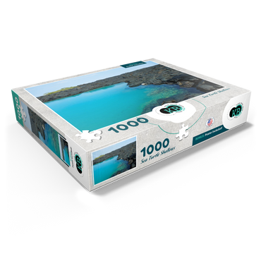 Hawaii, The Big Island: Sea Turtle Shallows, no.1 1000 Jigsaw Puzzle box view1