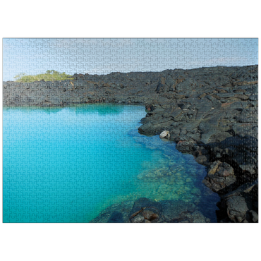 puzzleplate Hawaii, The Big Island: Sea Turtle Shallows, no.1 1000 Jigsaw Puzzle