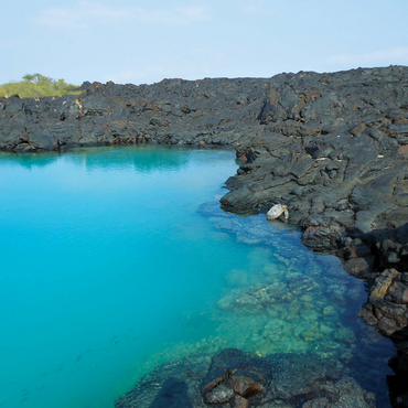 Hawaii, The Big Island: Sea Turtle Shallows, no.1 1000 Jigsaw Puzzle 3D Modell