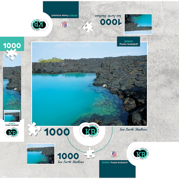 Hawaii, The Big Island: Sea Turtle Shallows, no.1 1000 Jigsaw Puzzle box 3D Modell