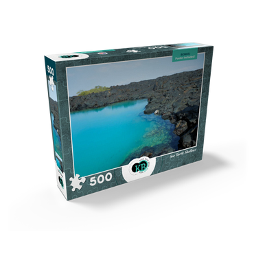 Hawaii, The Big Island: Sea Turtle Shallows, no.1 500 Jigsaw Puzzle box view2