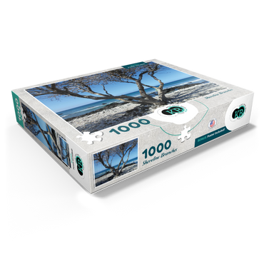 Hawaii, The Big Island: Shoreline Branches 1000 Jigsaw Puzzle box view1