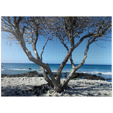 puzzleplate Hawaii, The Big Island: Shoreline Branches 1000 Jigsaw Puzzle