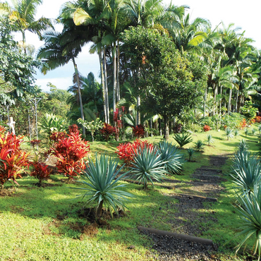 Hawaii, The Big Island: Tropical Garden 1000 Jigsaw Puzzle 3D Modell