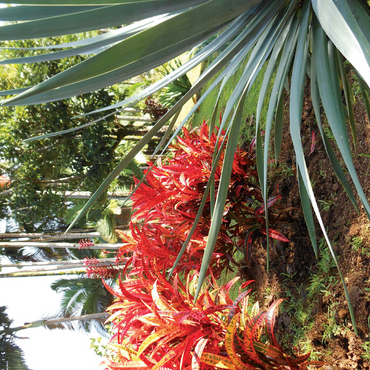 Hawaii, The Big Island: Tropical Gardens Paradise 500 Jigsaw Puzzle 3D Modell