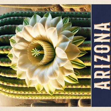 State Flowers Series: Arizona, Saguaro Cactus Blossom 1000 Jigsaw Puzzle 3D Modell