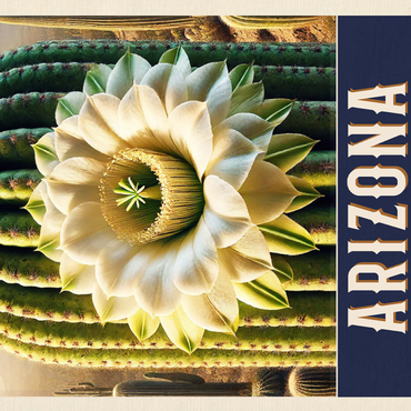 State Flowers Series: Arizona, Saguaro Cactus Blossom 500 Jigsaw Puzzle 3D Modell