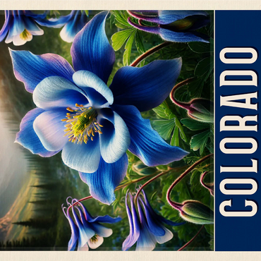State Flowers Series: Colorado, Blue Columbine 1000 Jigsaw Puzzle 3D Modell