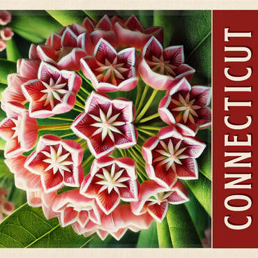 State Flowers Series: Connecticut, Mountain Laurel 1000 Jigsaw Puzzle 3D Modell