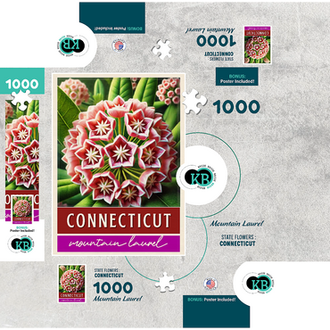 State Flowers Series: Connecticut, Mountain Laurel 1000 Jigsaw Puzzle box 3D Modell