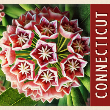 State Flowers Series: Connecticut, Mountain Laurel 500 Jigsaw Puzzle 3D Modell