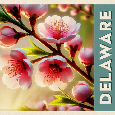 State Flowers Series: Delaware, Peach Blossom 500 Jigsaw Puzzle 3D Modell
