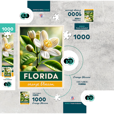 State Flowers Series: Florida, Orange Blossom 1000 Jigsaw Puzzle box 3D Modell