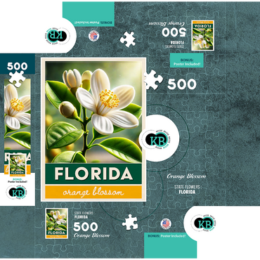 State Flowers Series: Florida, Orange Blossom 500 Jigsaw Puzzle box 3D Modell